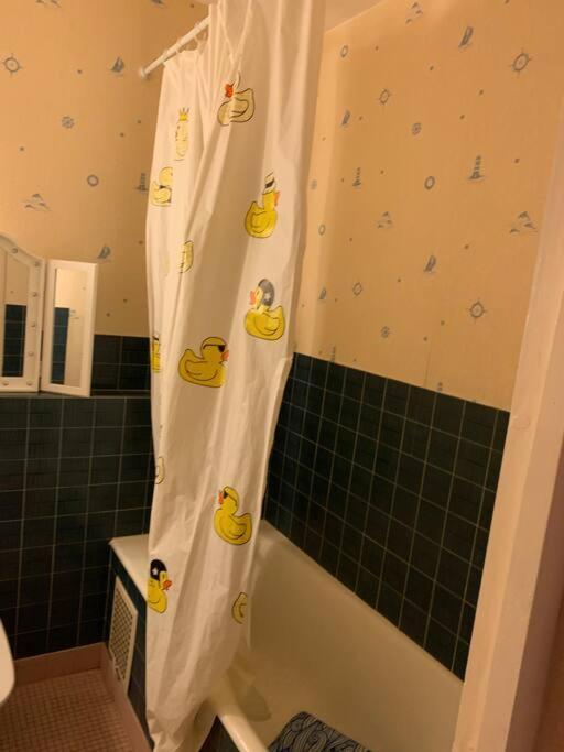 Appartement Confortable Et Tranquillite Assurer Tours Exterior photo
